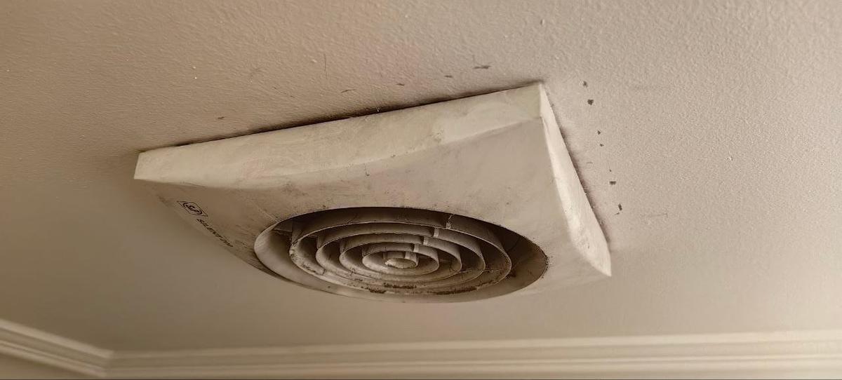 Фото: Кошкиспас