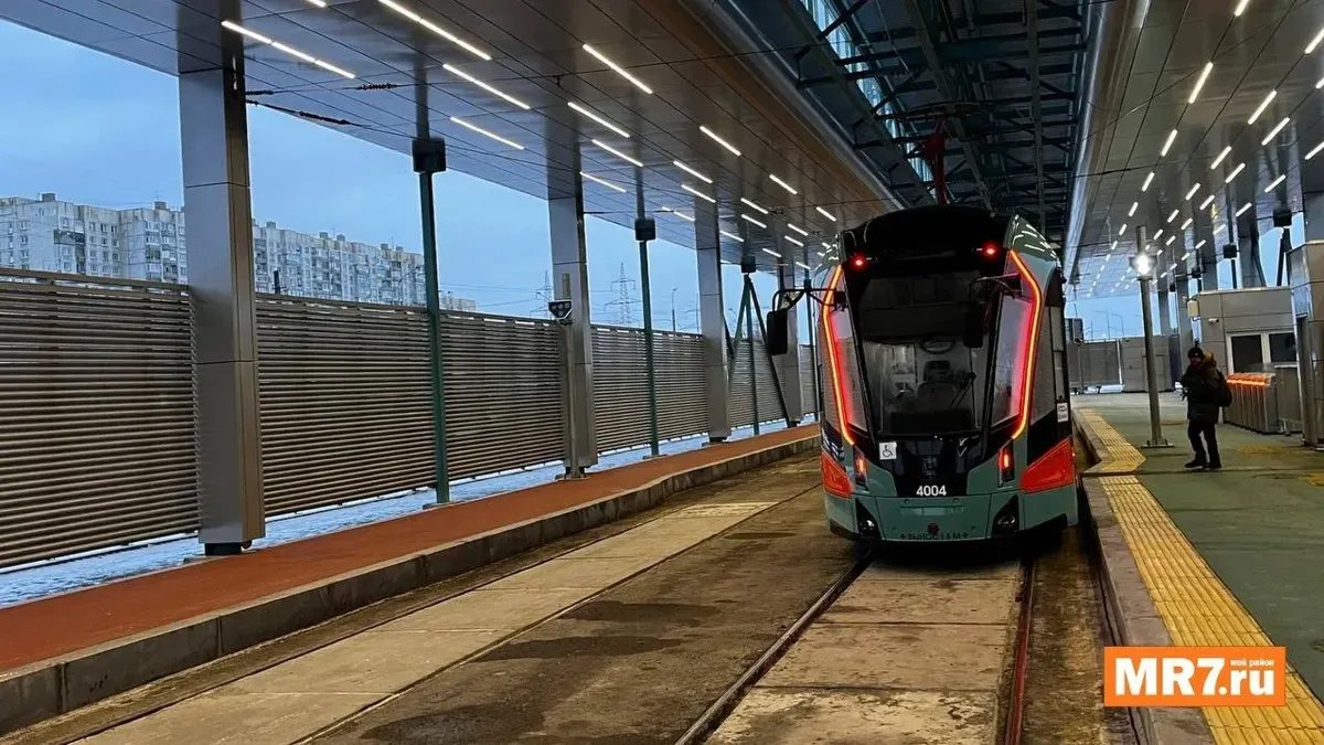 Фото: Любовь Смирнова / MR7