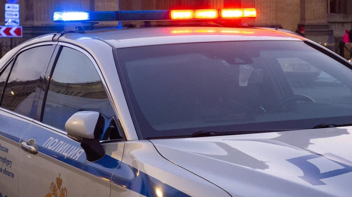 Фото: Дмитрий Абрамов / МР7