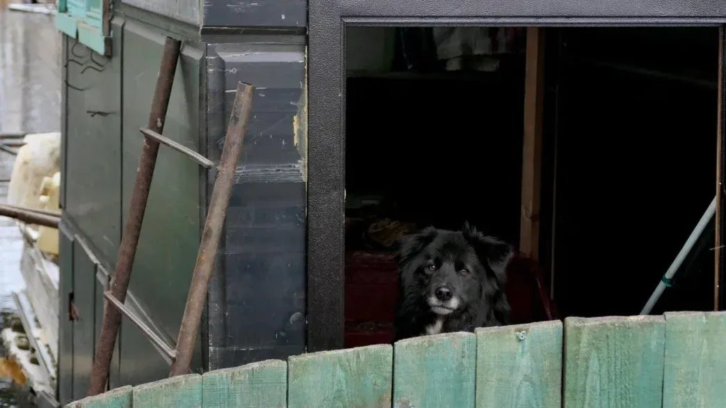 Фото: Павел Даиси / MR7