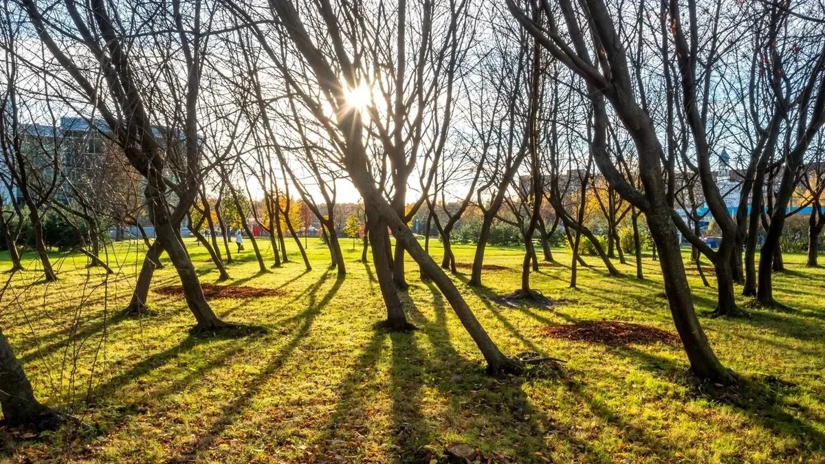 Фото: Олег Золото / МР7