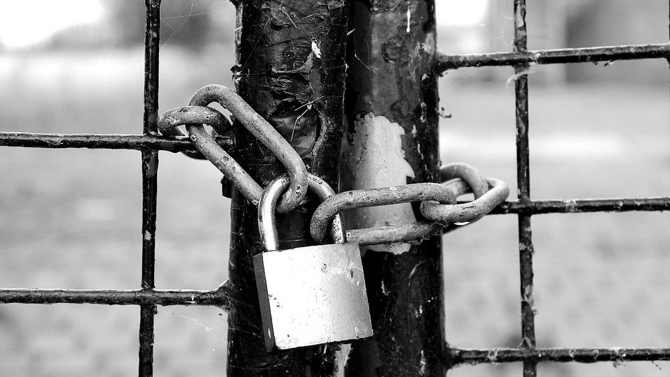 Шушары закроют из-за саммита «Россия — Африка». Выпускать местных жителей будут под надзором спецслужб