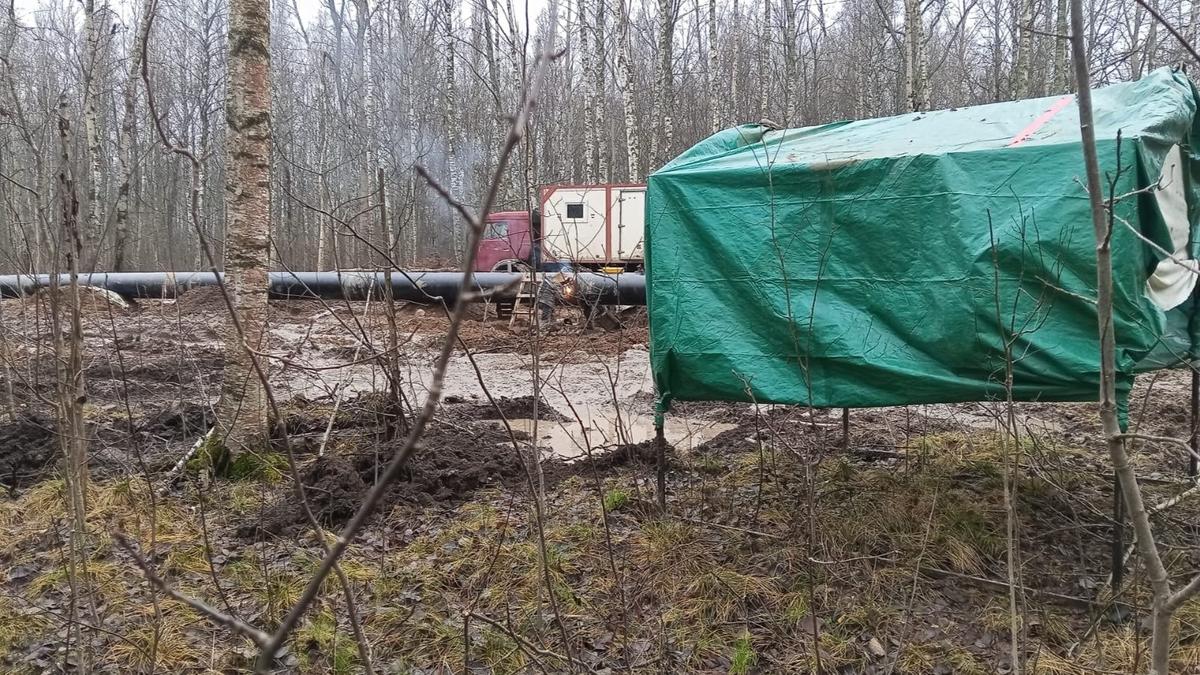 Фото: «Стоп АБЗ»