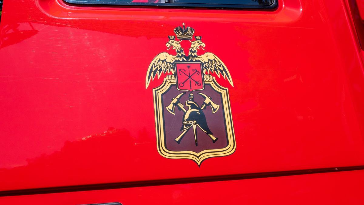 Фото: Олег Золото / МР7