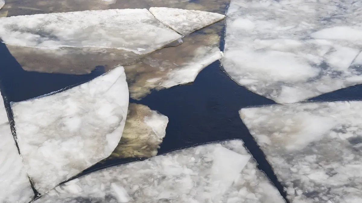 Фото: Виктория Арефьева / MР7