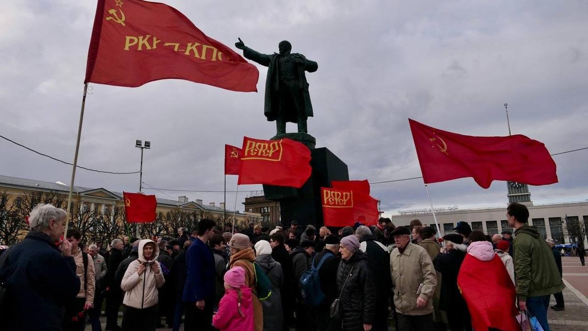 Фото: Дарья Дмитриева / МР7