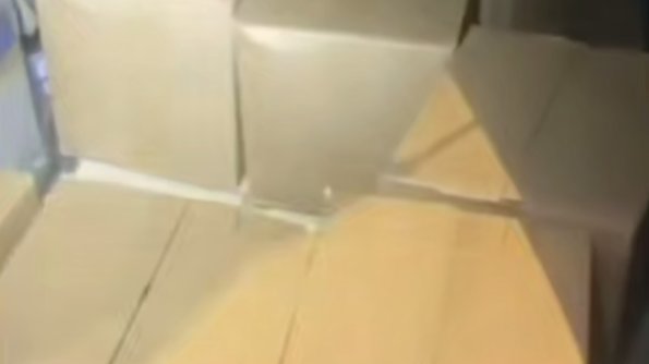 Скриншот видео: МВД по Петербургу и Ленобласти