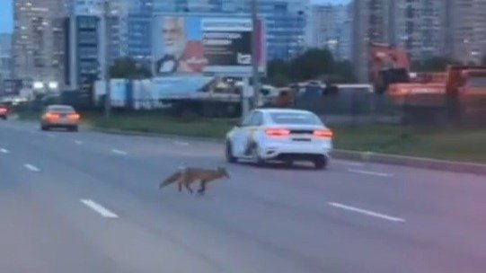 Скриншот видео: «Мегаполис»