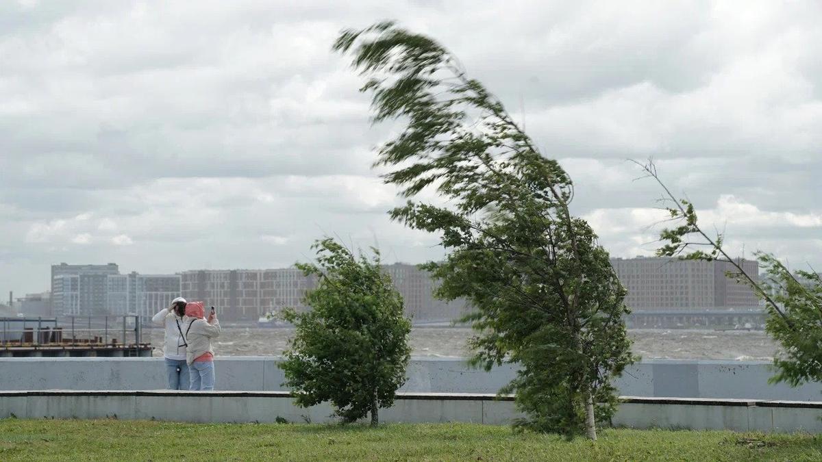 Фото: Павел Борисенко / MR7