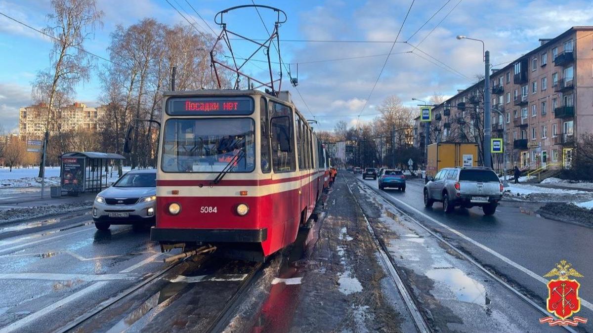 Фото: ГУ МВД России по Петербургу и Ленобласти