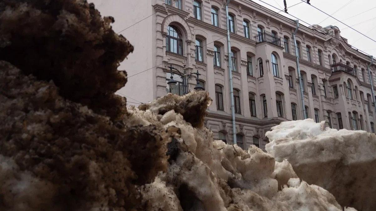 Фото: Дмитрий Абрамов / MR7