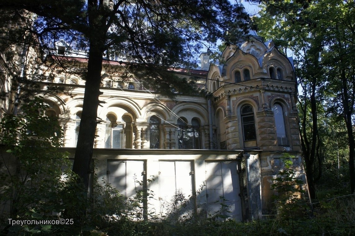 Фото: Александр Треугольников