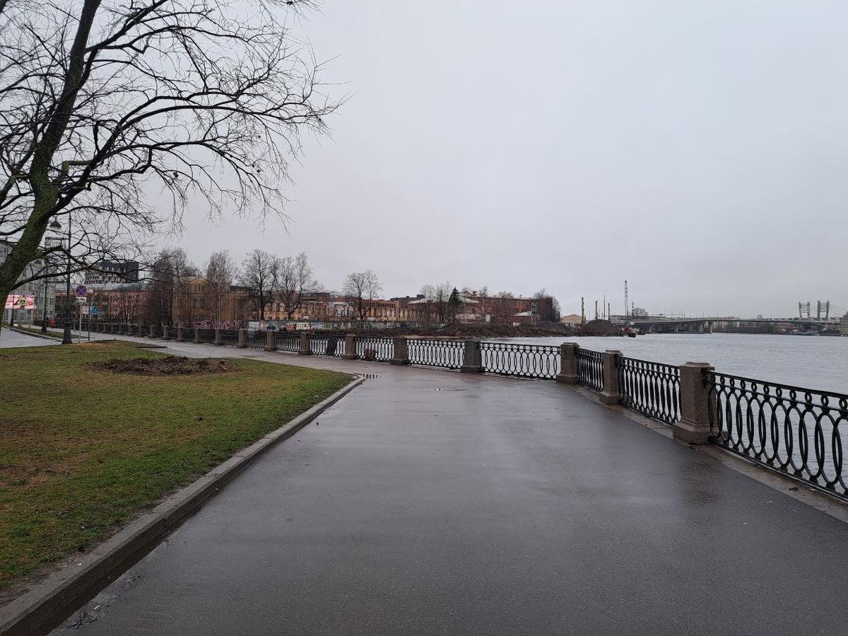 Фото: «Заросли — Парк на Малой Неве»