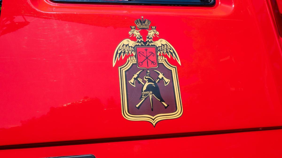 Фото: Олег Золото / МР7