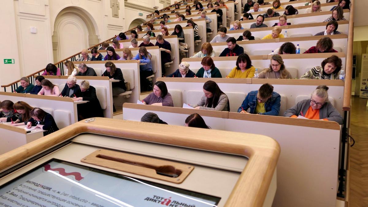 Фото: Павел Даиси / МР7