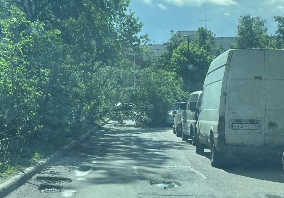 Фото: «Мегаполис»