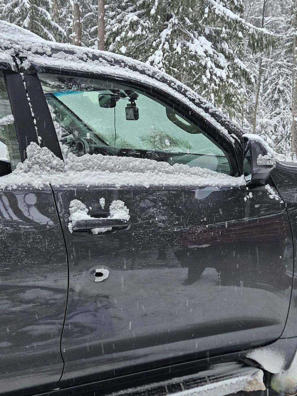 Фото: Следственный комитет Ленинградской области