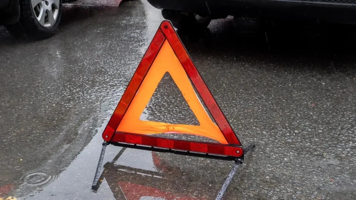 Фото: Олег Золото / МР7