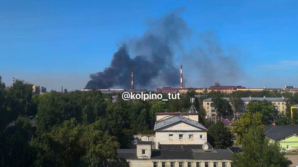 Фото: «КОЛПИНО ТУТ»
