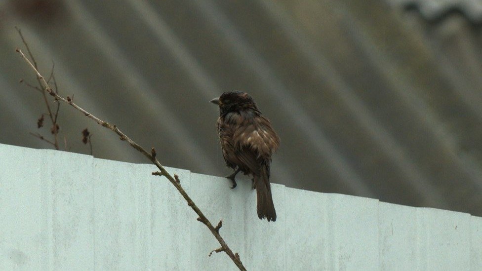 Фото: «Каждой твари по паре» / Павел Глазков