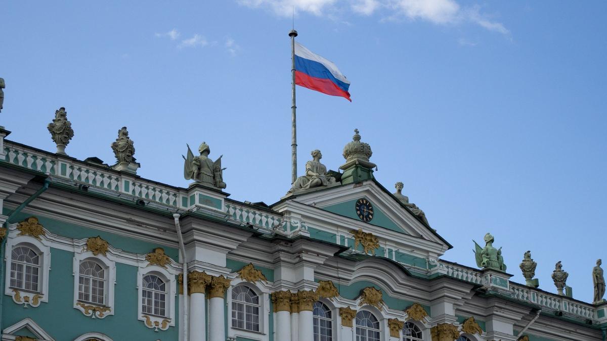 Ветераны СВО и их родные смогут бесплатно посещать музеи и парки Петербурга