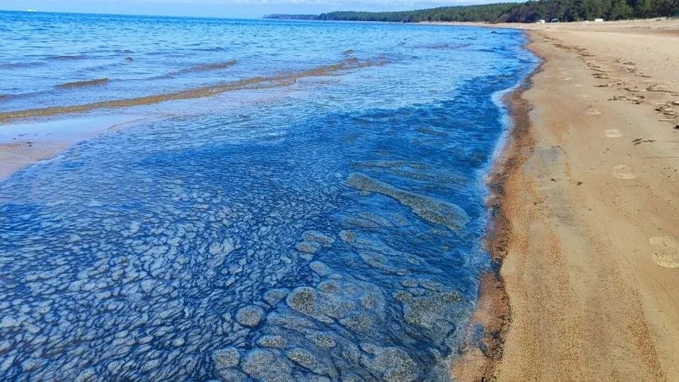 Фото: BL Сосновый Бор