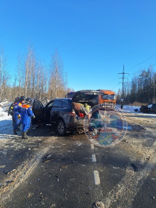 Фото: telegram-канал Аварийно-спасательной службы Ленинградской области