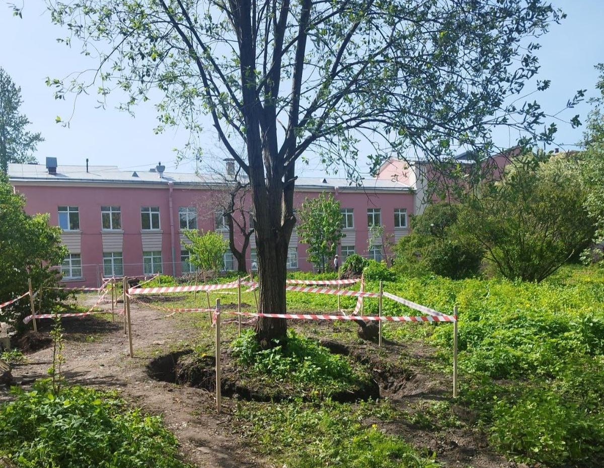 Фото: читатель MR7