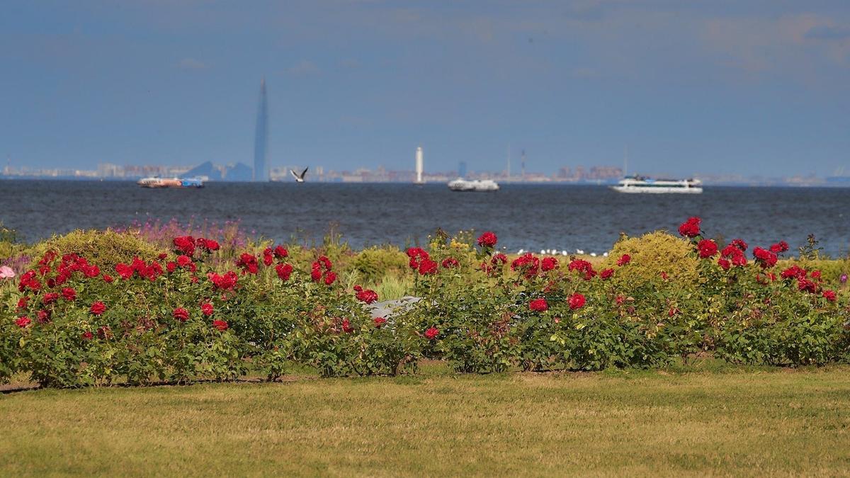 Фото: ГМЗ «Петергоф»