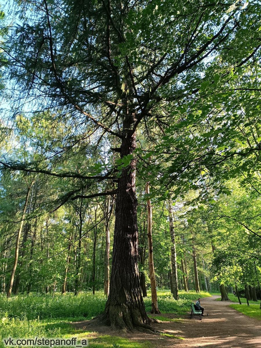 Фото: Андрей Степанов
