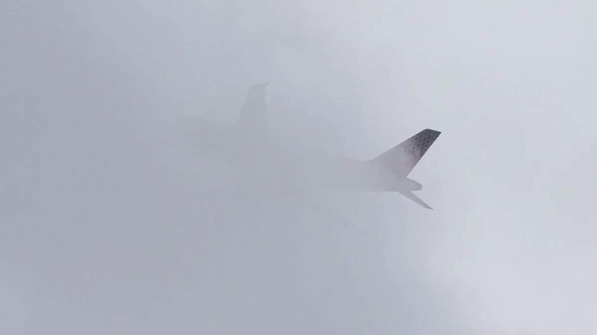 Фото: Олег Золото / МР7