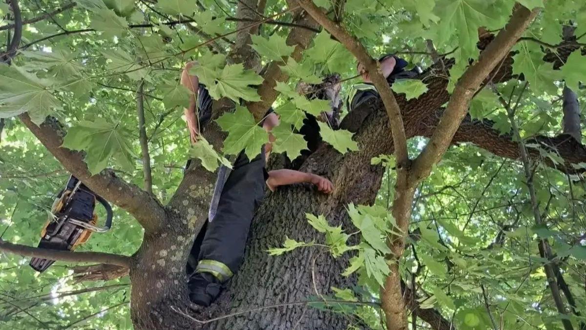 Фото: комитет правопорядка и безопасности Ленобласти