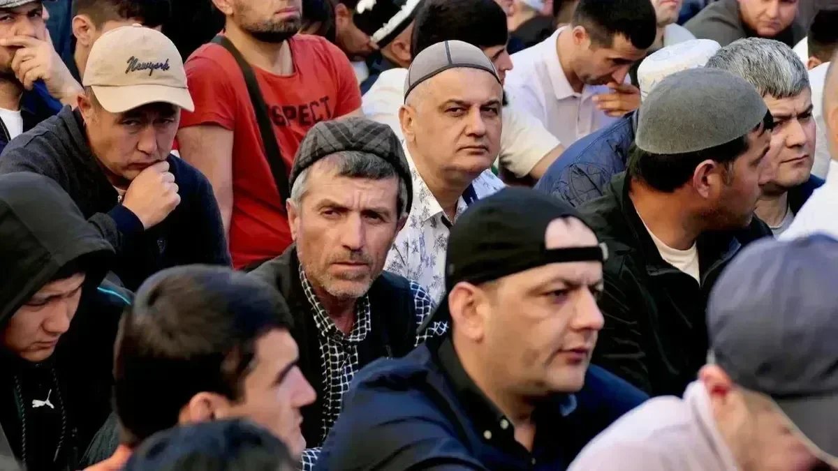 Фото: Павел Даиси / МР7