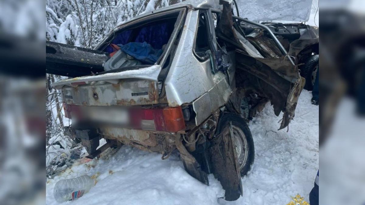 Фото: ГУ МВД России по Петербургу и Ленобласти