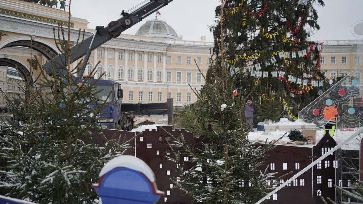 Фото: Павел Борисенко / MR7