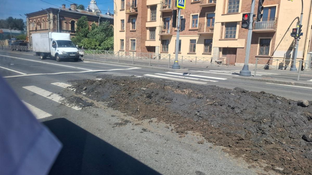 Фото: читатель МР7