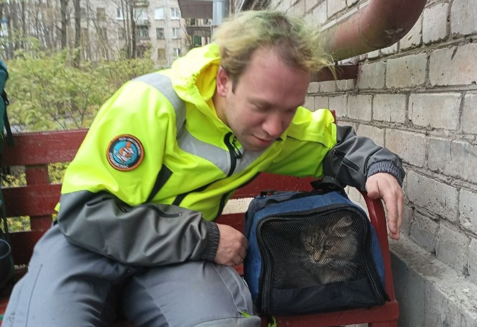 Фото: «Кошкиспас»