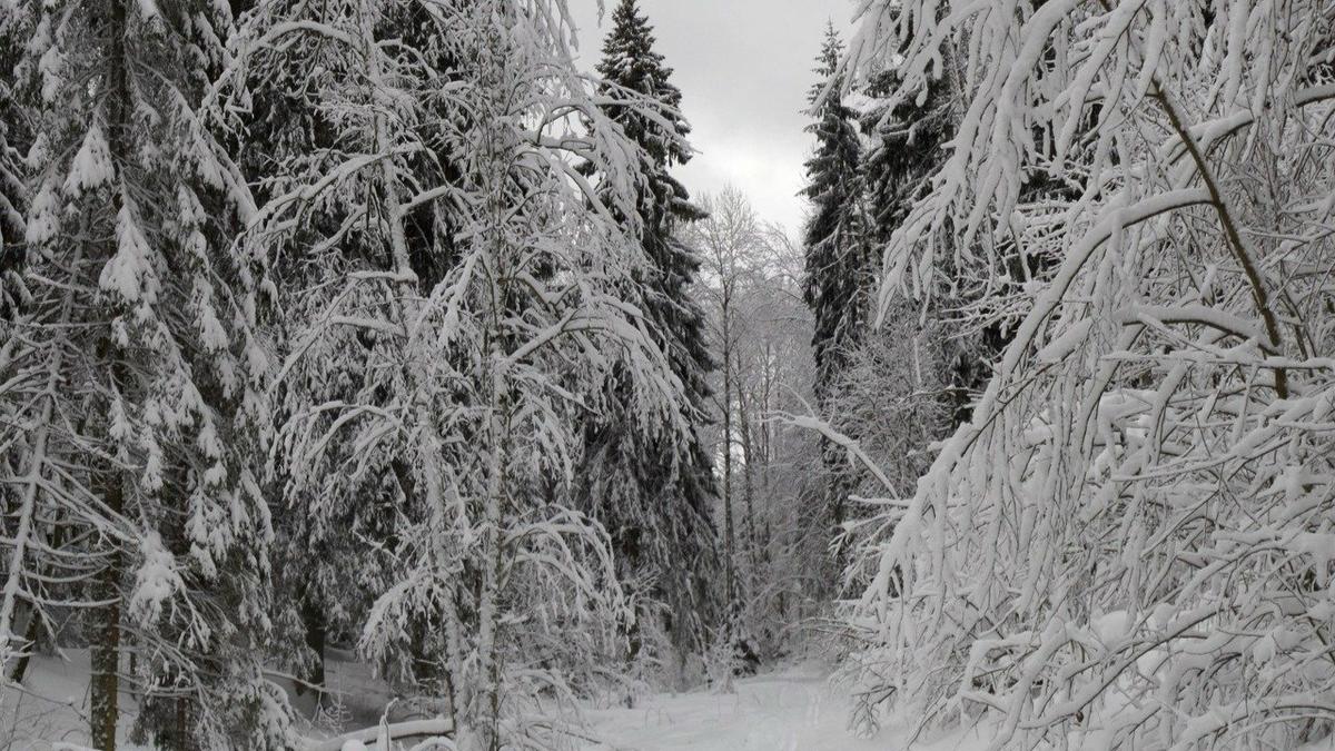 Фото: группа «Против захвата озёр»