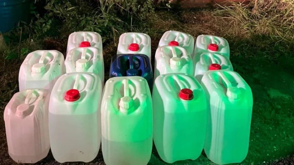 Фото: ФТС России