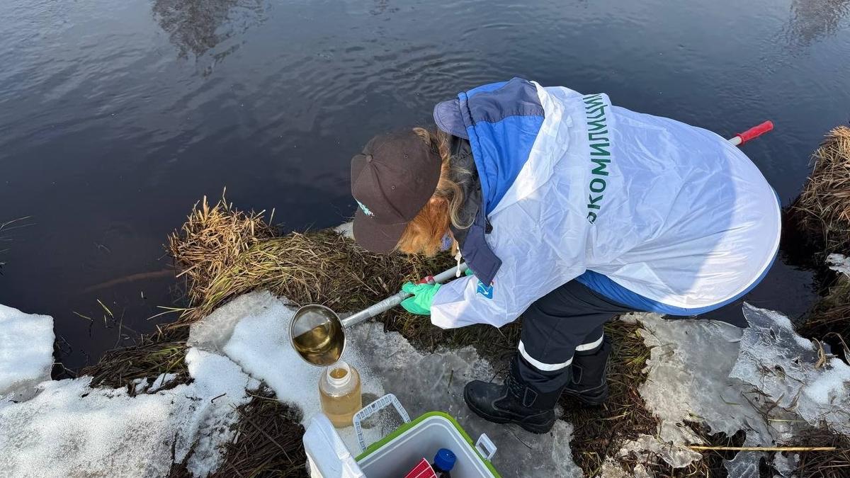 Фото: управление Росприроднадзора по СЗФО