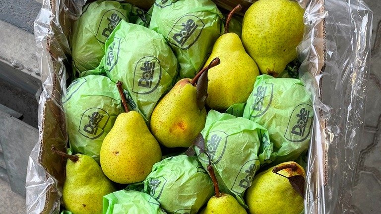 Фото: Северо-Западное межрегиональное управление Россельхознадзора