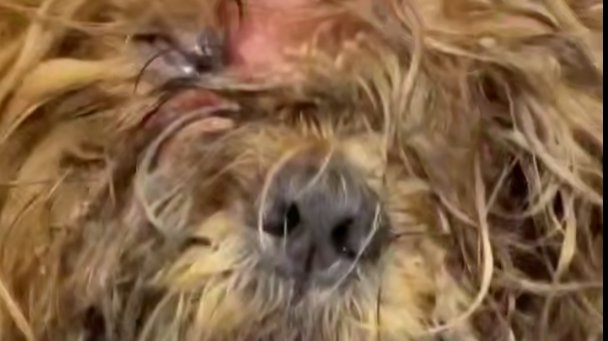 Скриншот видео: «Мегаполис»