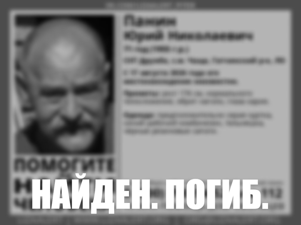 Фото: «Лиза Алерт»