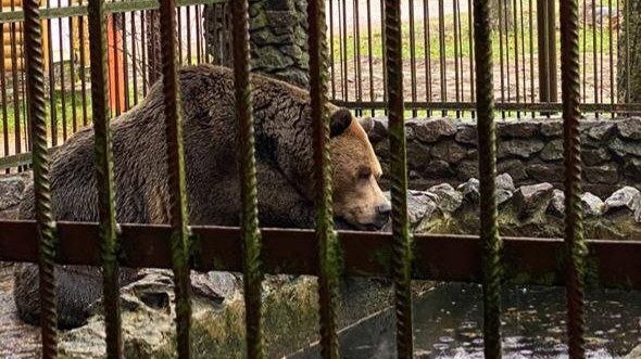 Фото: объединённая пресс-служба судов Петербурга