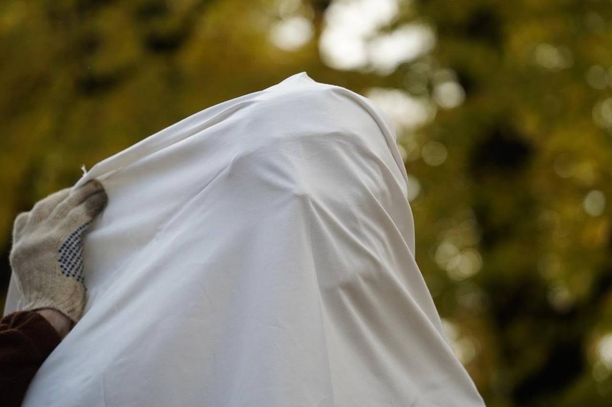 Фото: Павел Борисенко / MR7