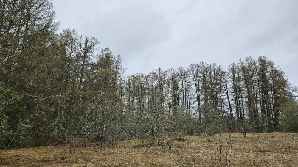 Фото: Александр Дрозденко