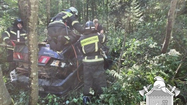 Фото: ГКУ «Леноблпожспас»