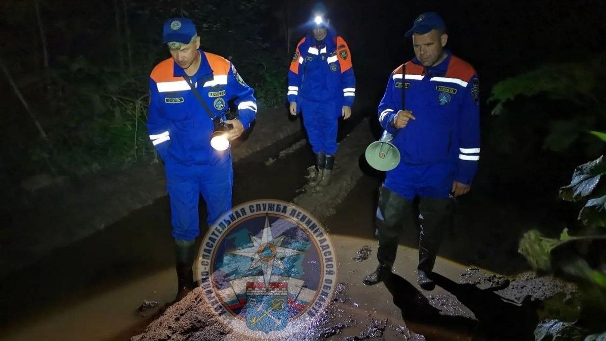 Фото: аварийно-спасательная служба Ленобласти