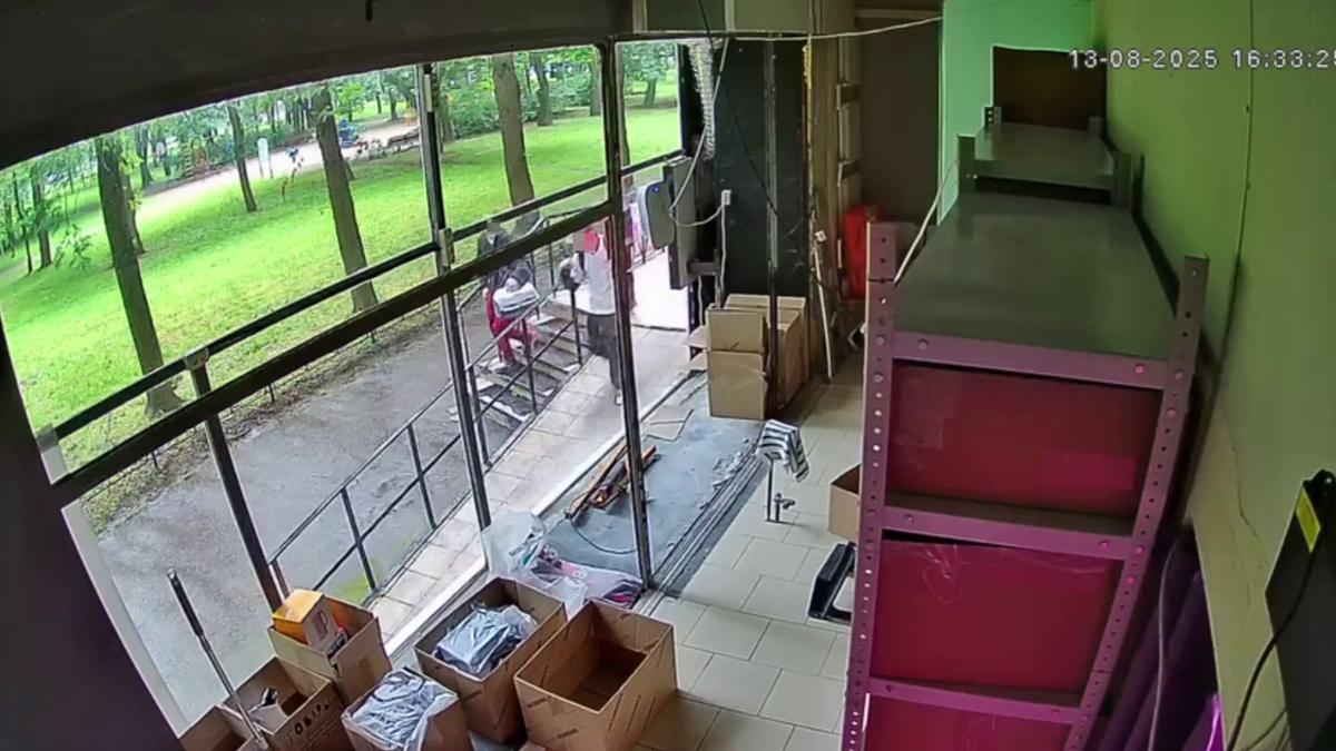 Три молодых человека вынесли котёнка из приюта в Петербурге