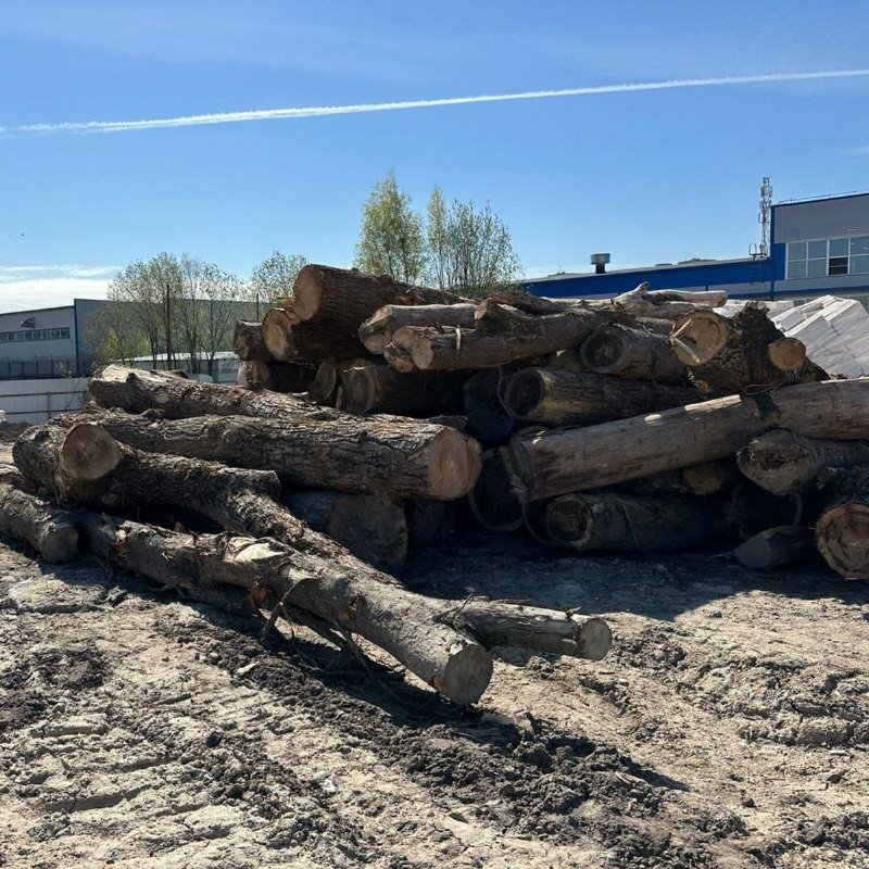 Фото: пресс-служба прокуратуры Петербурга